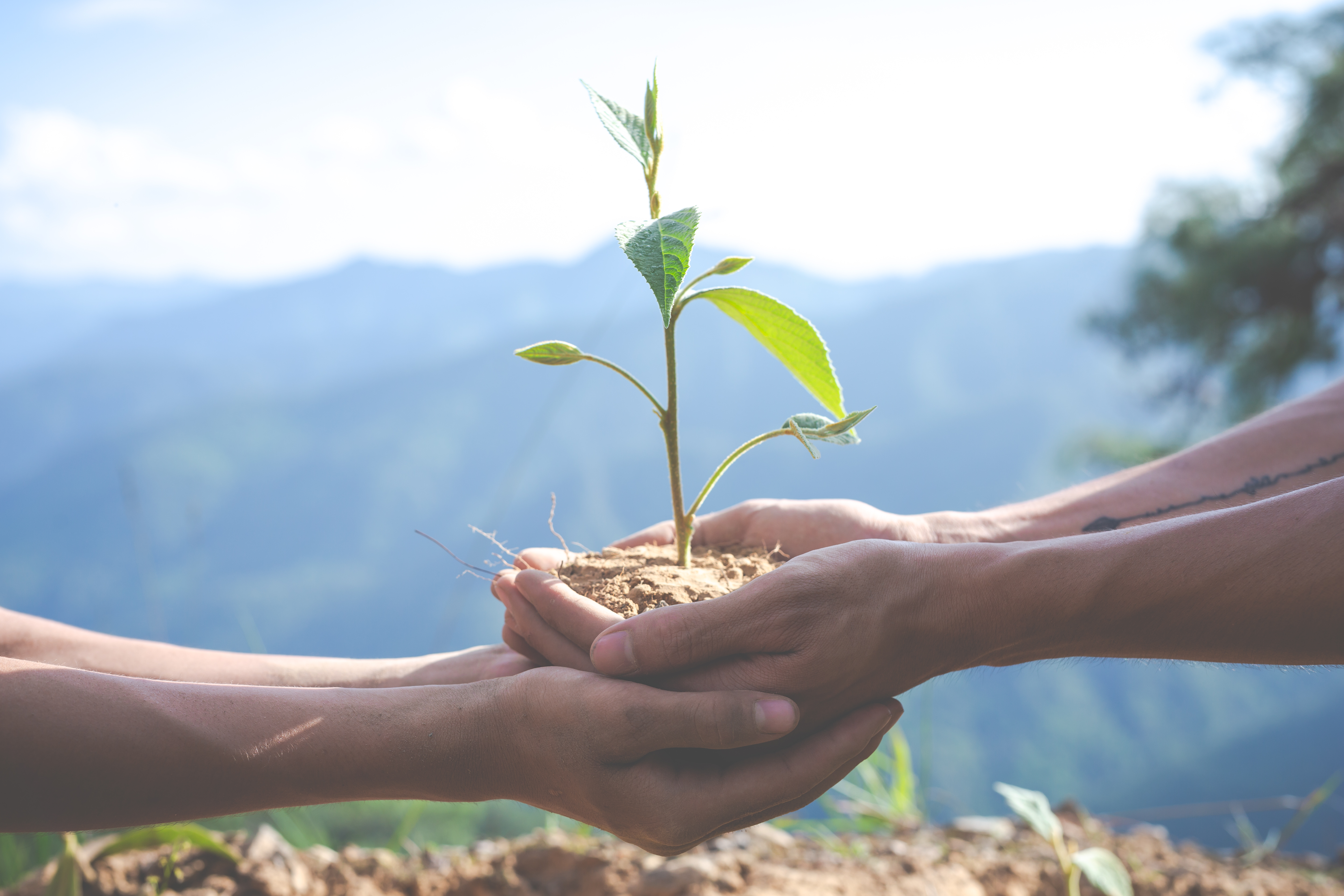 Regulación ambiental en 2025: lo que tu empresa debe saber